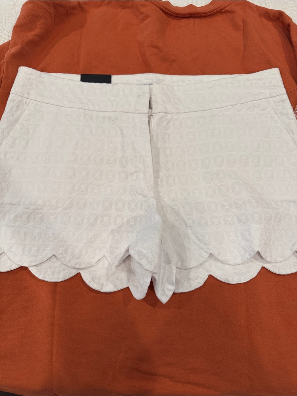 crown & ivy White Scalloped Eyelet High-Waist Shorts